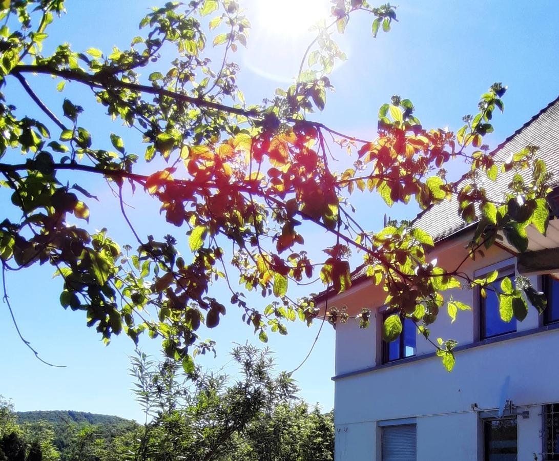 Ferienwohnung Albstadt Panorama Zewnętrze zdjęcie